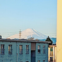 画像335