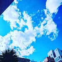 画像533