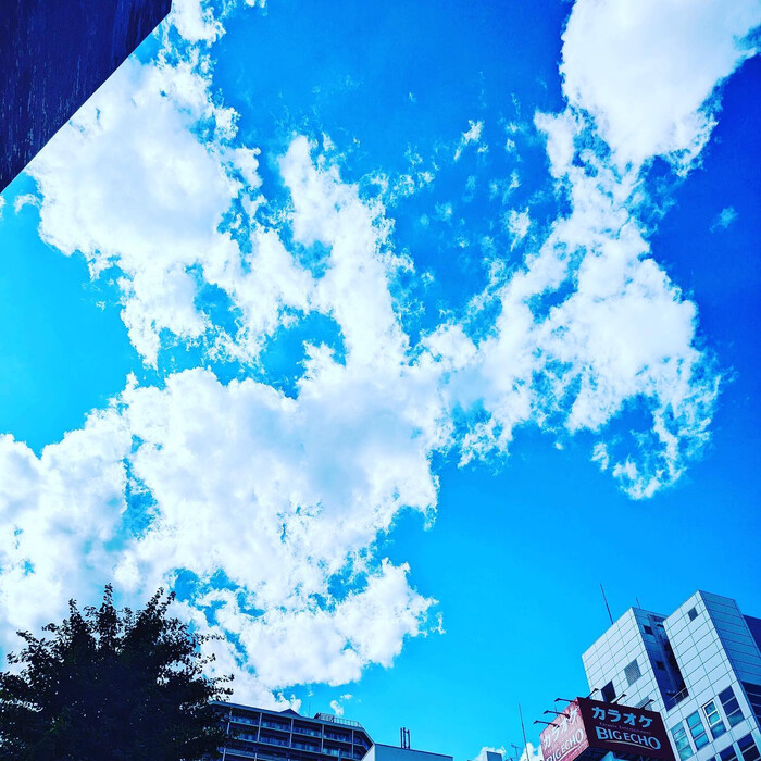 画像533