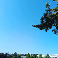 画像545