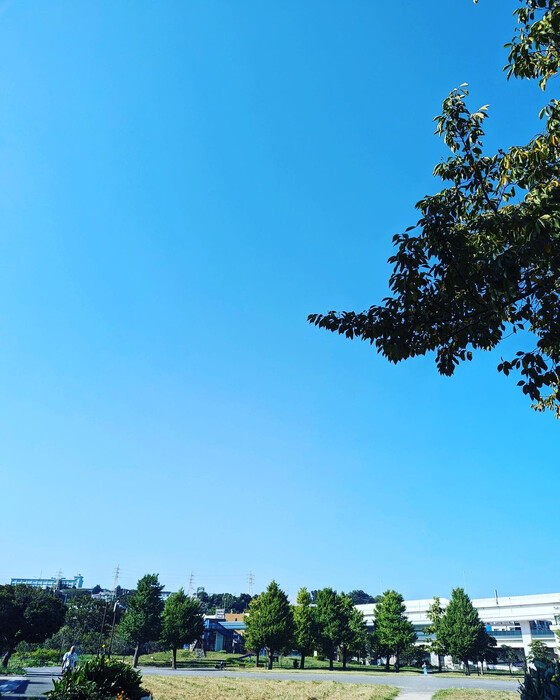 画像545