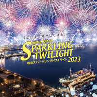 画像557