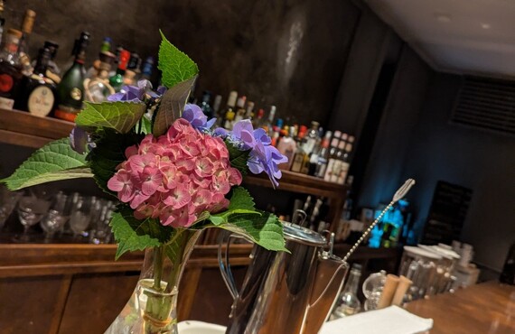 【関内】の地下で出逢う、妖艶なるイチジクのフルーツカクテル　Bar.Lucid by The Bar CASABLANCA